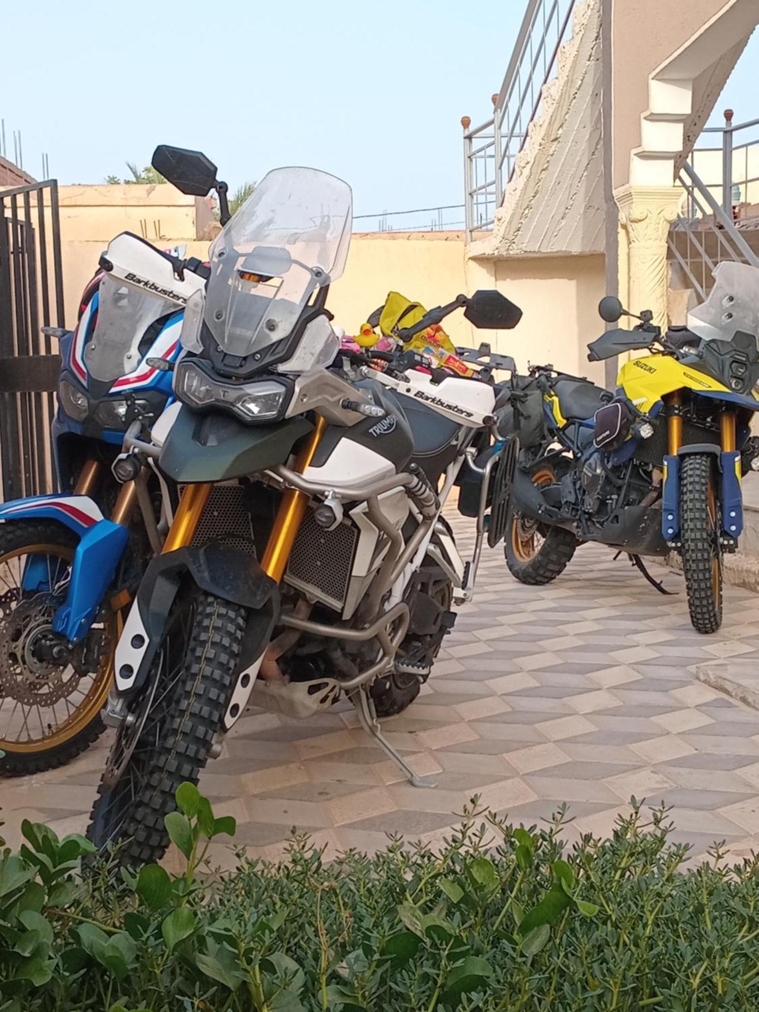 Dar Alibaba Apartament *